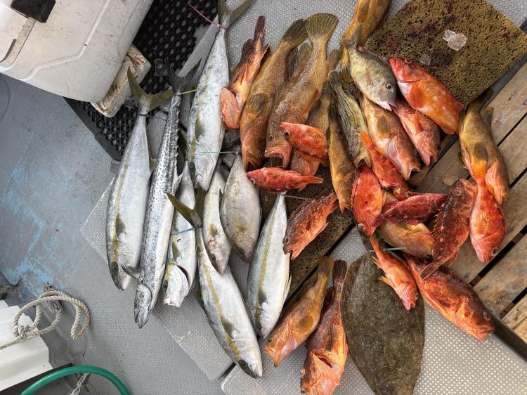 �W�M���O��W